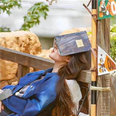 玫瑰人生国语